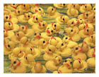 Bob Anthony's Rubber Duckies